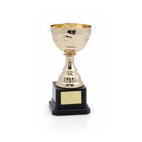 Trofeo Cevit