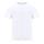 Camiseta Adulto Cocker