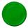 Frisbee Girud