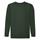 Sudadera Niño Classic Set-In Sweat