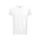 Camiseta 100% algodón Thc Fair "Thc fair wh" WH