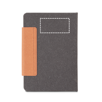 Agenda - Posterior