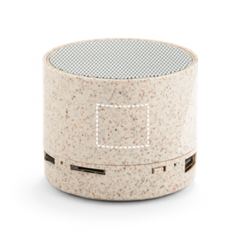 Altavoz - Lateral