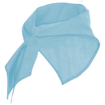 Pañuelo Jaranero