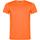 Camiseta Akita