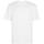 Camiseta Chow