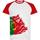 Camiseta Forza