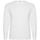 Camiseta Pointer
