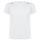 Camiseta Sepang