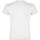 Camiseta Teckel
