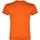 Camiseta Teckel