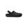 Zueco Dan