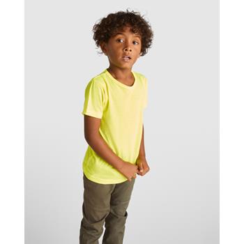 Camiseta Akita