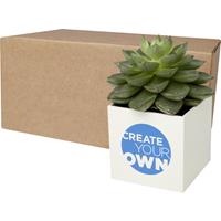 Maceta de aluminio con planta, cactus, "Hey Pots"