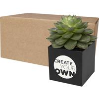 Maceta de aluminio con planta, cactus, "Hey Pots"