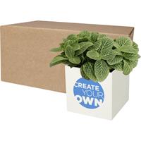 Maceta de aluminio con planta, suculenta, "Hey Pots"