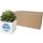 Hey Pots aluminium planted pot - succulent