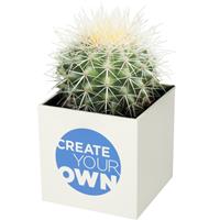 Hey Pots aluminium planted pot - cactus
