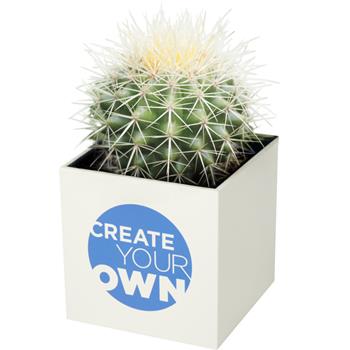 Hey Pots aluminium planted pot - cactus